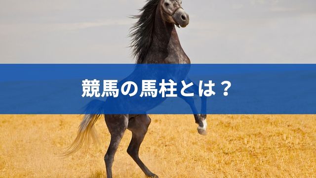 競馬の馬柱とは？