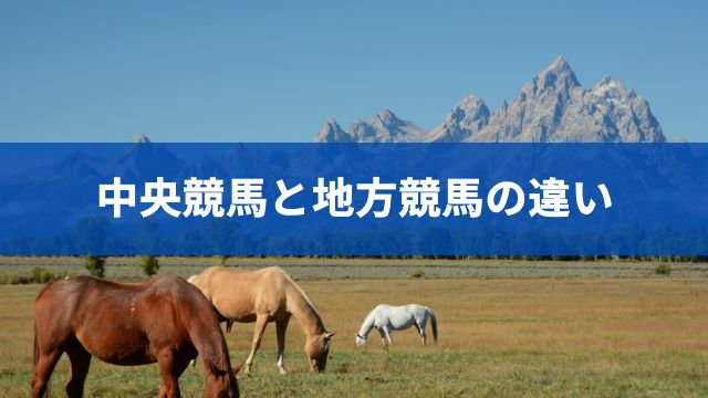 中央競馬と地方競馬の主な違い9選