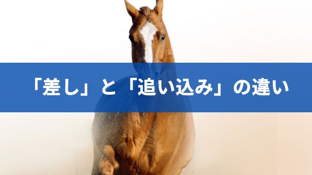 競馬の「差し」と「追い込み」の違い