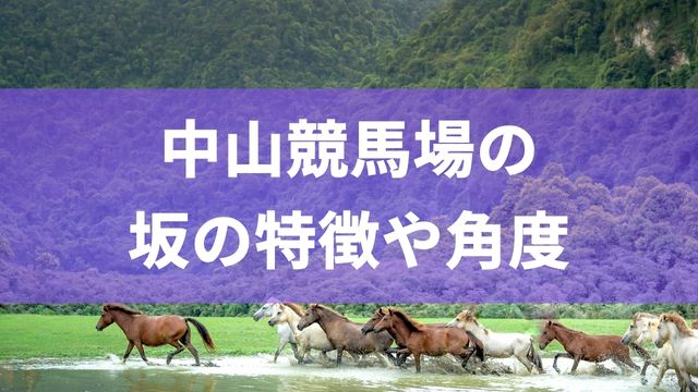 中山競馬場の坂の特徴や角度