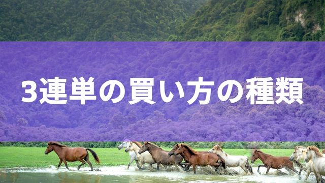 競馬の3連単における買い方の種類