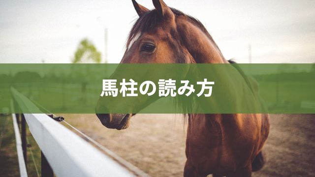 馬柱の読み方