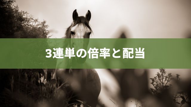 競馬における3連単の平均倍率(オッズ)と平均配当(払戻金)