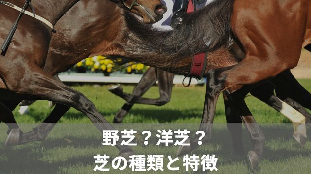 野芝？洋芝？福島競馬場における芝の種類と特徴