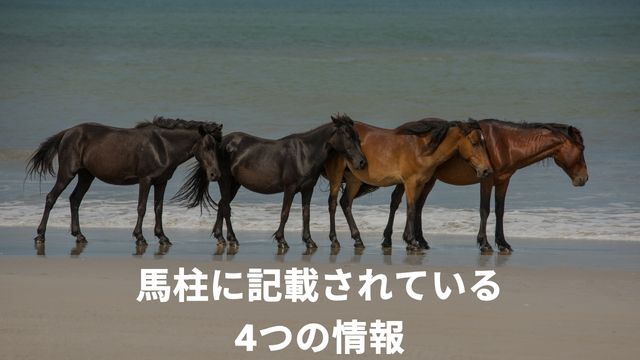 馬柱に記載されている4つの情報