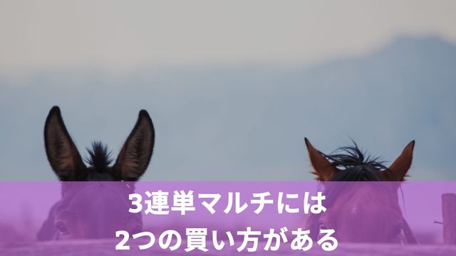 競馬の3連単マルチには2つの買い方がある