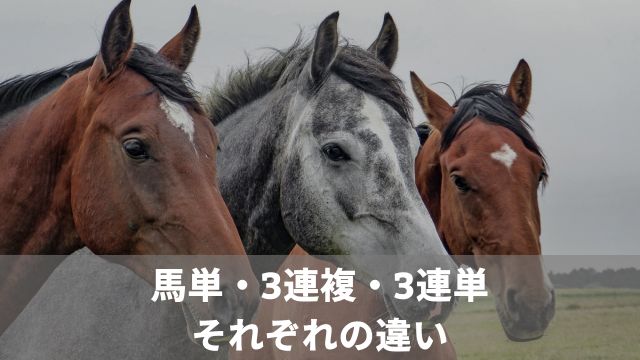 競馬における馬単・3連複・3連単の違い