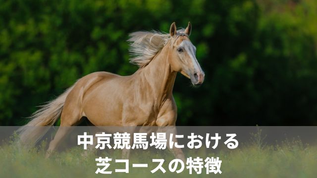 中京競馬場における芝コースの特徴