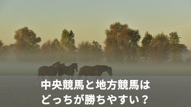 中央競馬と地方競馬はどっちが勝ちやすい？