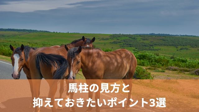 馬柱の見方と抑えておきたいポイント3選