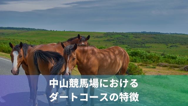 中山競馬場におけるダートコースの特徴