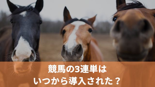 競馬の3連単はいつから導入された？