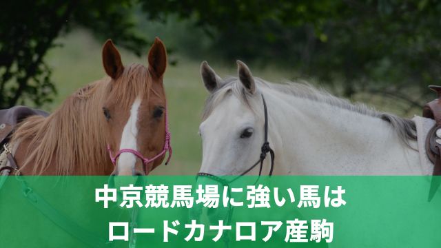 中京競馬場に強い馬はロードカナロア産駒