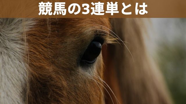 競馬の3連単とは