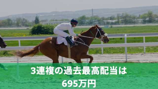 競馬における3連複の過去最高配当は695万円