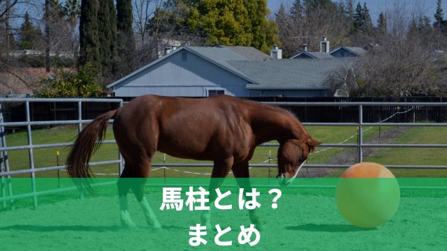 馬柱とは？まとめ