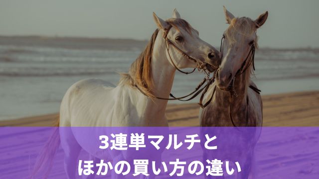 競馬の3連単マルチとほかの買い方の違い