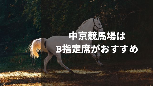 中京競馬場はB指定席がおすすめ