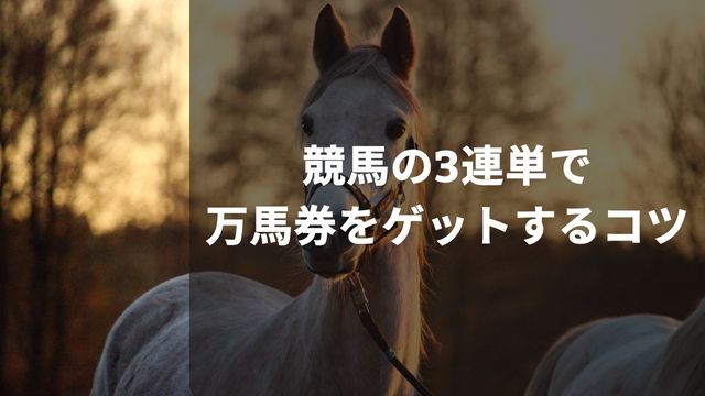 競馬の3連単で万馬券をゲットするコツ