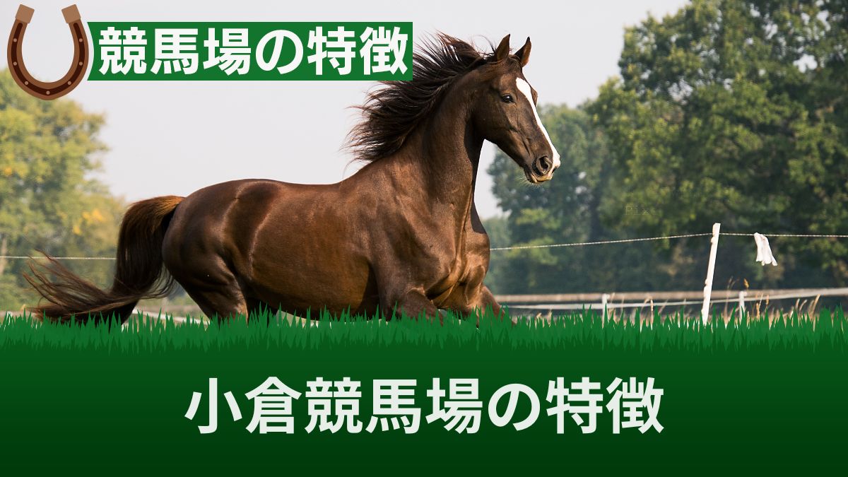 小倉競馬場の特徴と傾向を調査！得意な騎手やコース替わりを知って攻略しよう