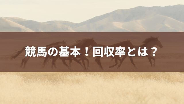 競馬の基本！回収率とは？