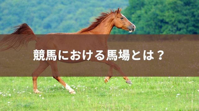 競馬における馬場とは？