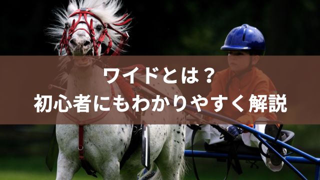 【競馬の基本】ワイドとは？初心者にもわかりやすく解説