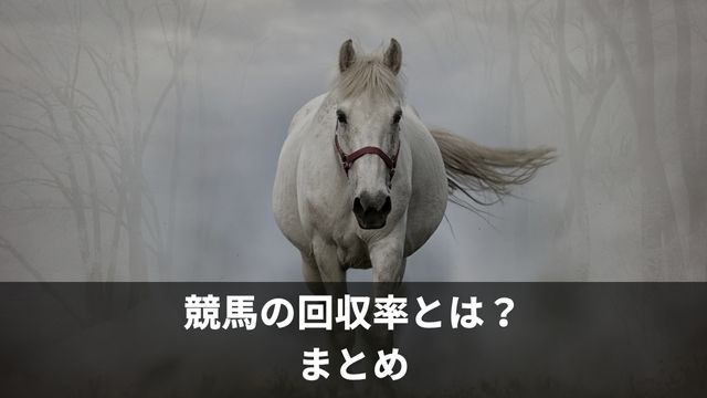 競馬の回収率とは？まとめ