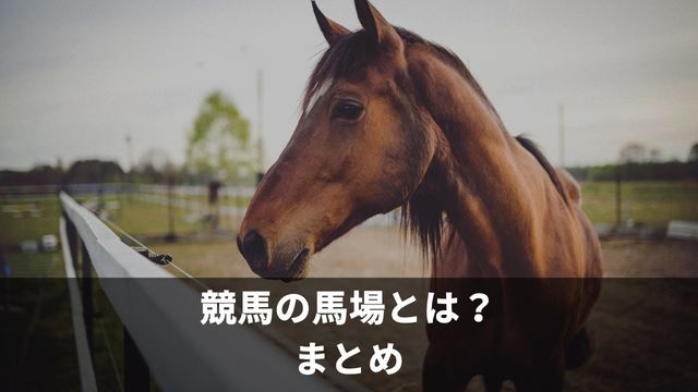 競馬の馬場とは？まとめ