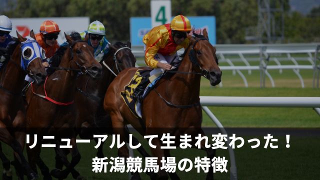 リニューアルして生まれ変わった！新潟競馬場の特徴