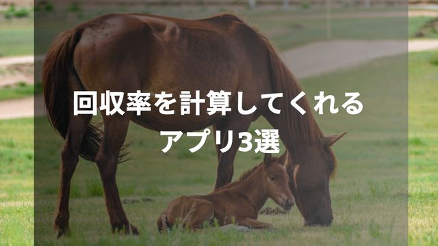 競馬の回収率を計算してくれるアプリ3選