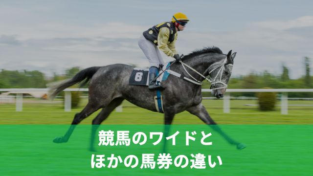 競馬のワイドとほかの馬券の違い