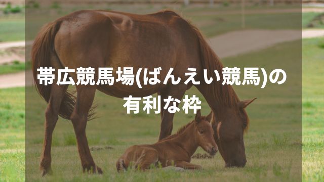 帯広競馬場(ばんえい競馬)の有利な枠