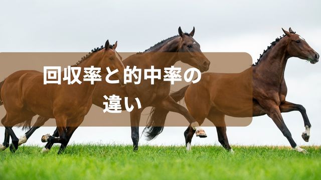 競馬の回収率と的中率の違い