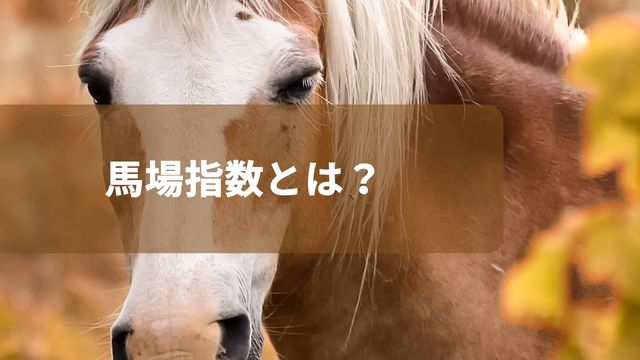 競馬の馬場指数とは？