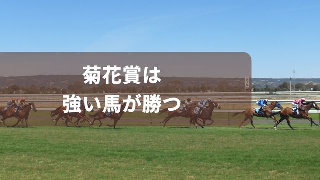 京都競馬場の菊花賞は強い馬が勝つのが特徴