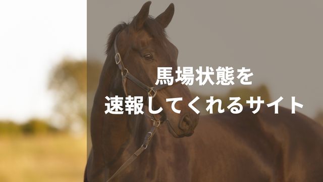 競馬場の馬場状態を速報してくれるサイト2選