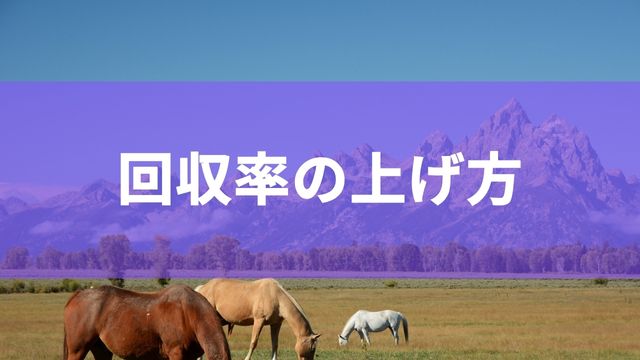 競馬における回収率の上げ方