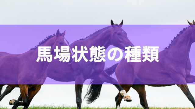 競馬における馬場状態の種類