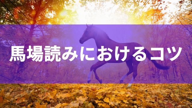 競馬の馬場読みにおけるコツ