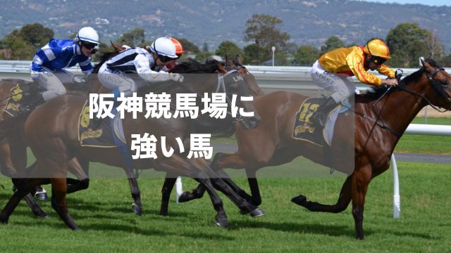 阪神競馬場に強い馬