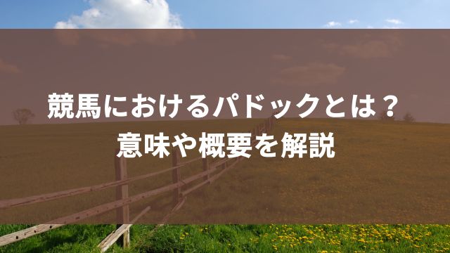 競馬におけるパドックとは？意味や概要を解説