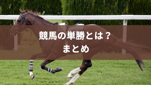 競馬の単勝とは？まとめ