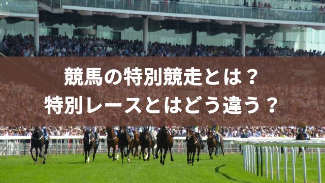 競馬の特別競走とは？特別レースとはどう違う？