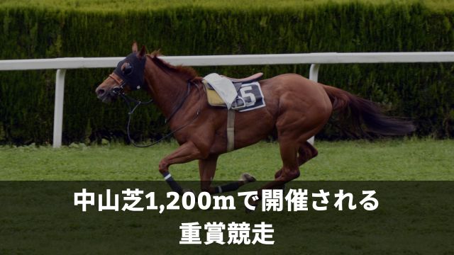 中山芝1,200mで開催される重賞競走