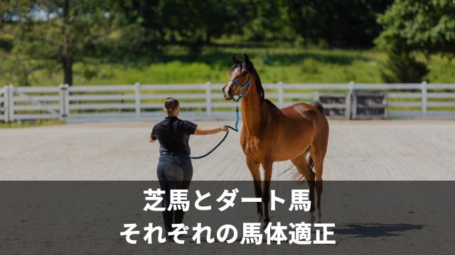 芝馬とダート馬それぞれの馬体適正