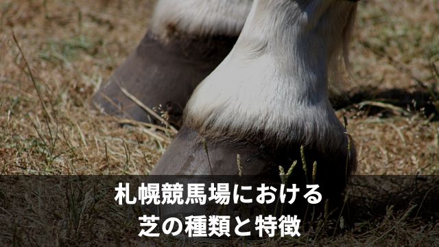 札幌競馬場における芝の種類と特徴