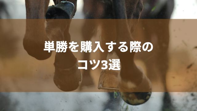 競馬の単勝を購入する際のコツ3選