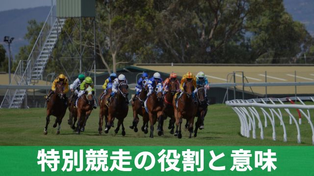 競馬の特別競走の役割と意味