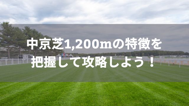 中京芝1,200mの特徴を把握して攻略しよう！